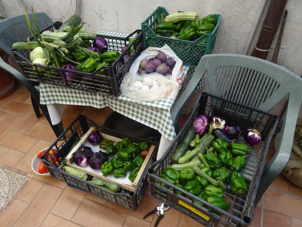 La Bottega Del Fabbro Affitto Breve Villa Contigliano Exterior foto